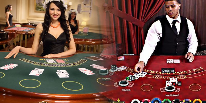 Game Casino Live Dealer có gì nổi bật 